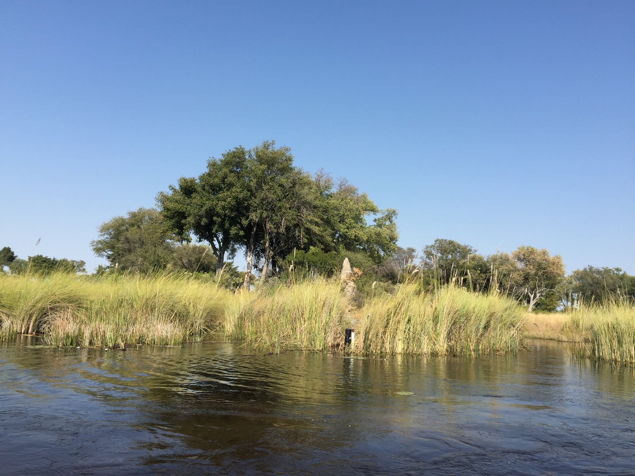 [26973] 2016_07_01_11_00_24_Africa_iPhone_6_Plus_IMG_4043_07087.jpg