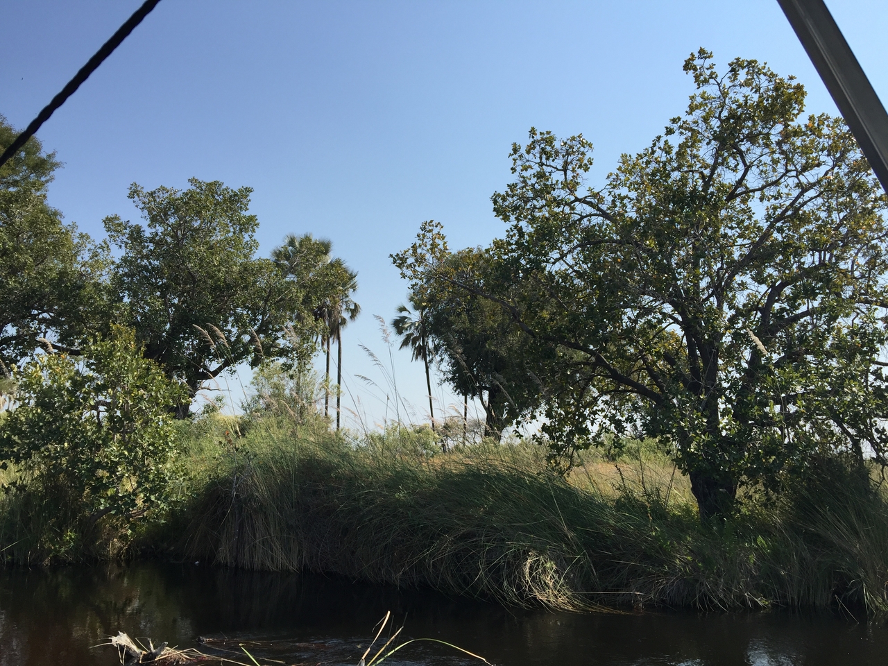 [26983] 2016_07_01_11_29_55_Africa_iPhone_6_Plus_IMG_4056_00018.jpg