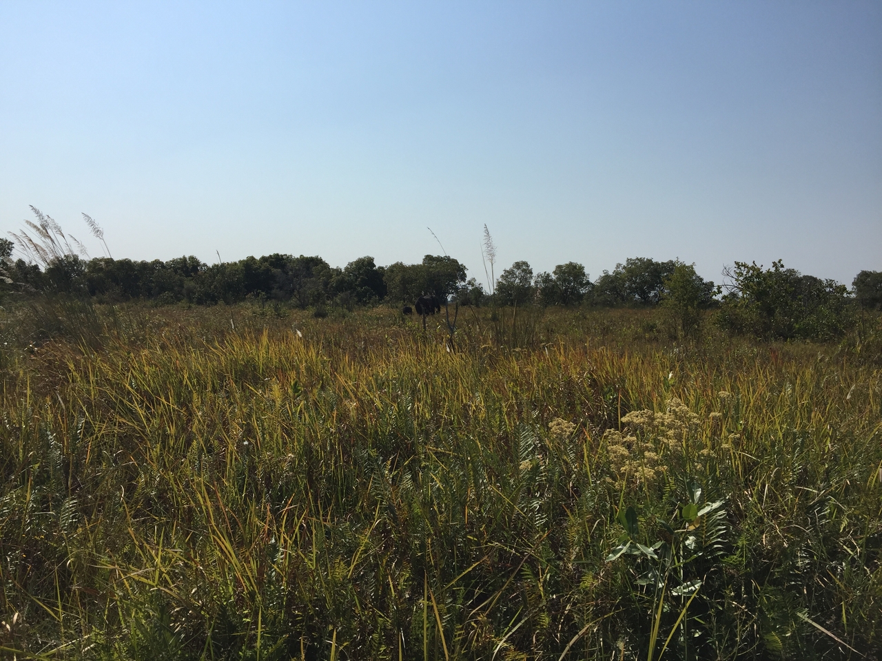 [26992] 2016_07_01_11_42_08_Africa_iPhone_6_Plus_IMG_4063_00021.jpg