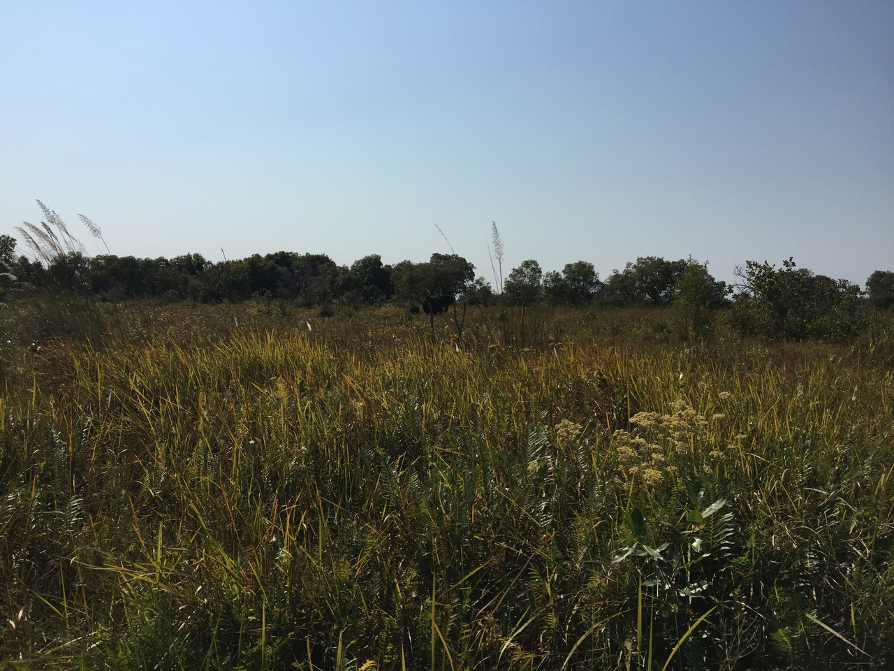 [26997] 2016_07_01_11_42_10_Africa_iPhone_6_Plus_IMG_4064_07094.jpg