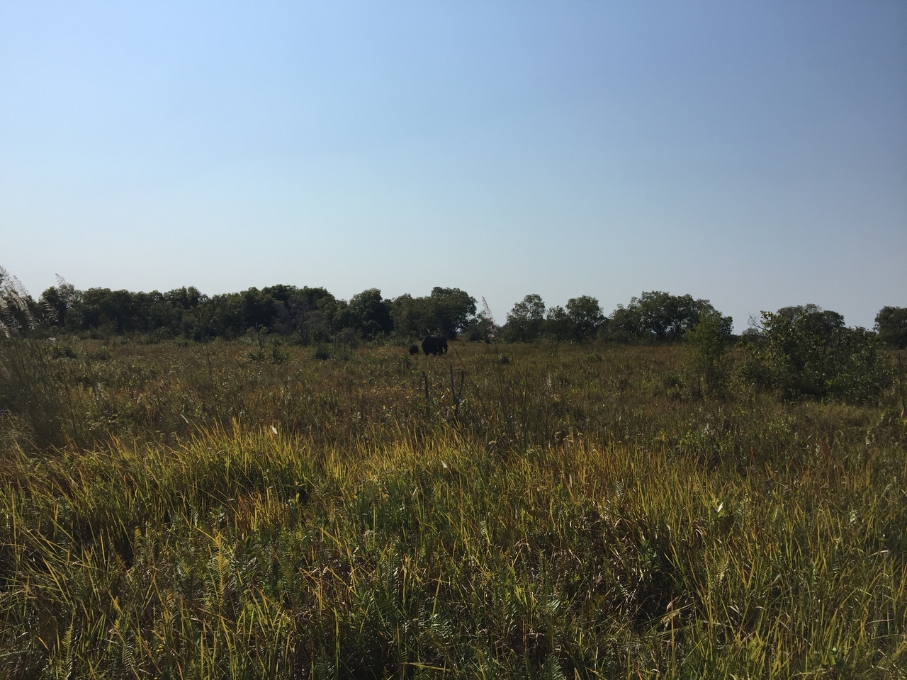 [27000] 2016_07_01_11_42_20_Africa_iPhone_6_Plus_IMG_4065_07095.jpg