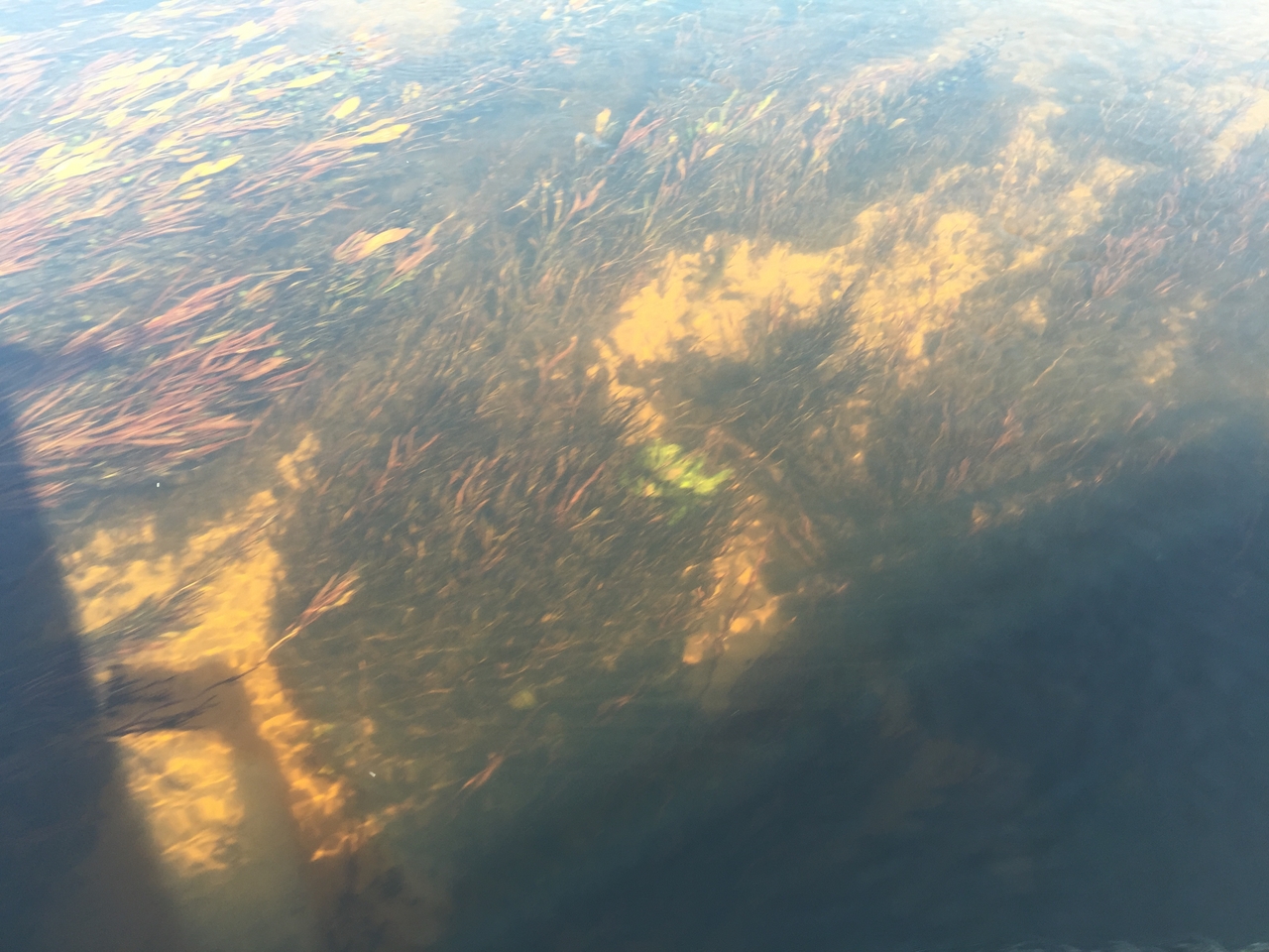 [27016] 2016_07_01_12_46_34_Africa_iPhone_6_Plus_IMG_4073_00027.jpg