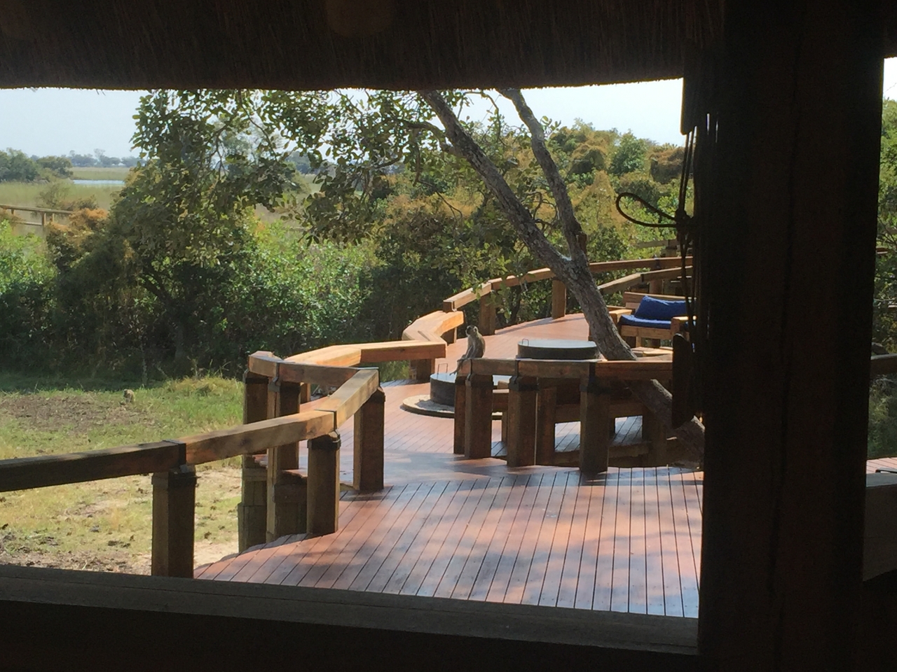 [27029] 2016_07_01_13_26_52_Africa_iPhone_6_Plus_IMG_4079_00517.jpg