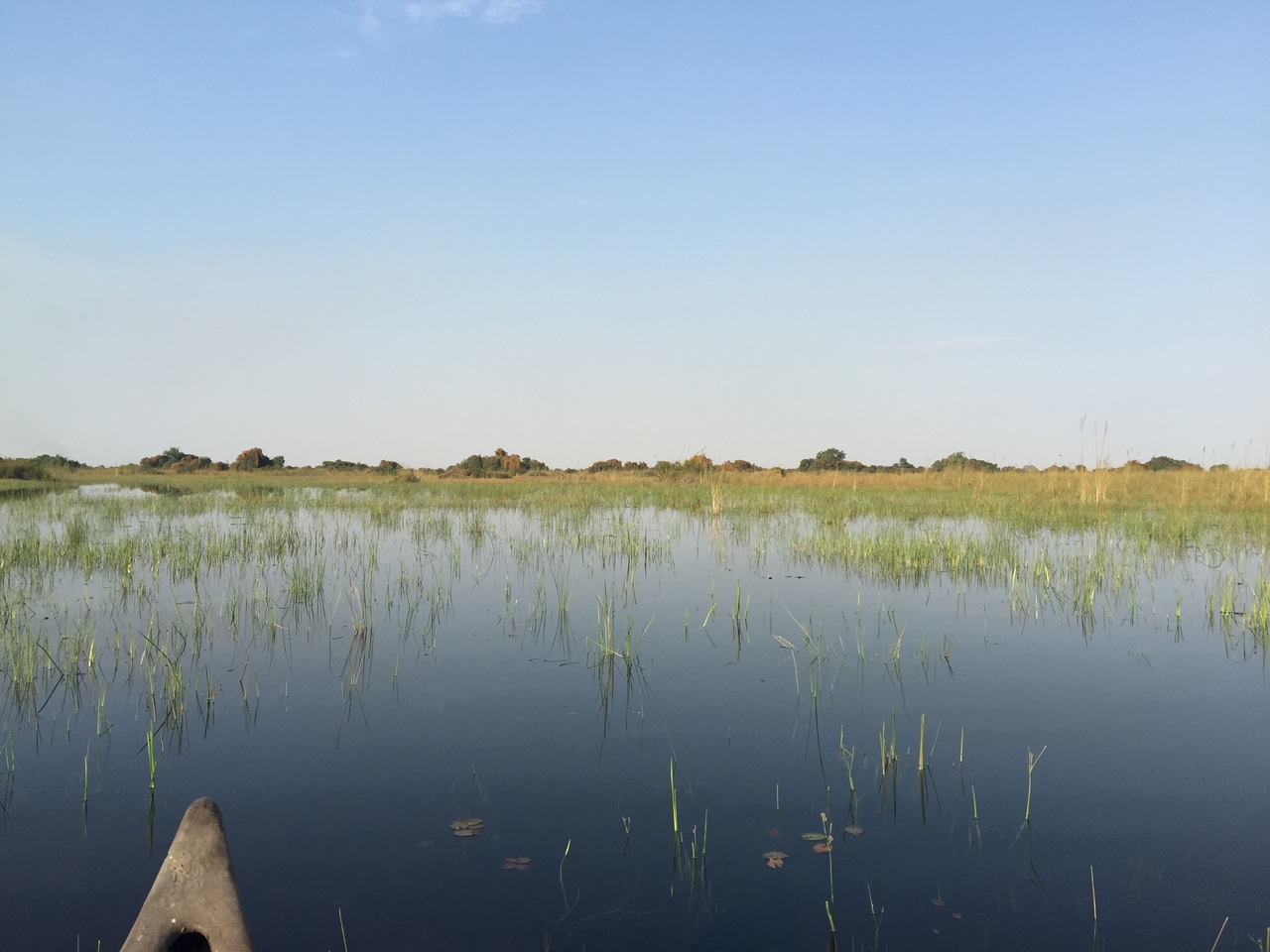 [27237] 2016_07_01_16_16_21_Africa_iPhone_6_Plus_IMG_4130_00558.jpg