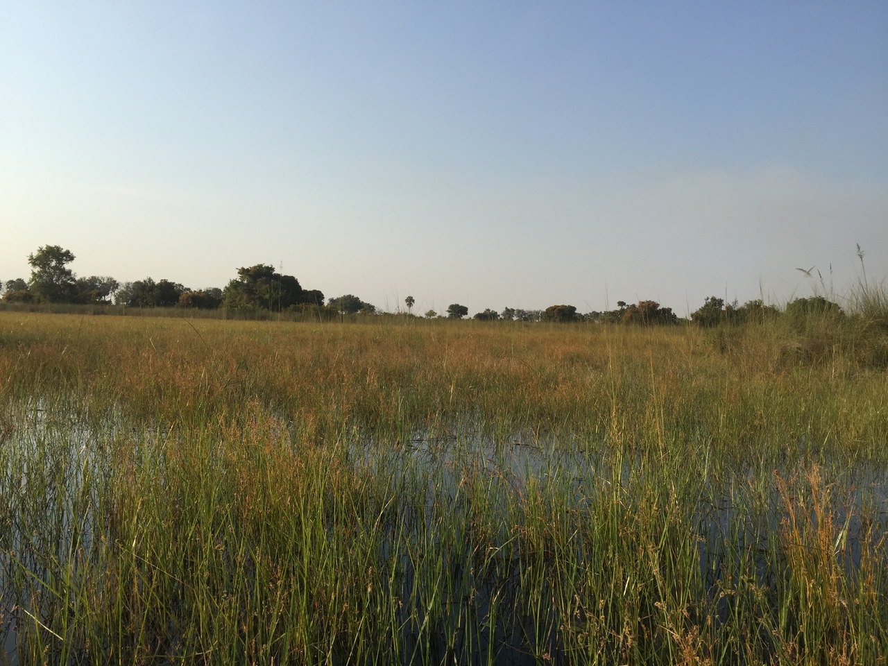 [27342] 2016_07_01_16_42_46_Africa_iPhone_6_Plus_IMG_4569_00569.jpg