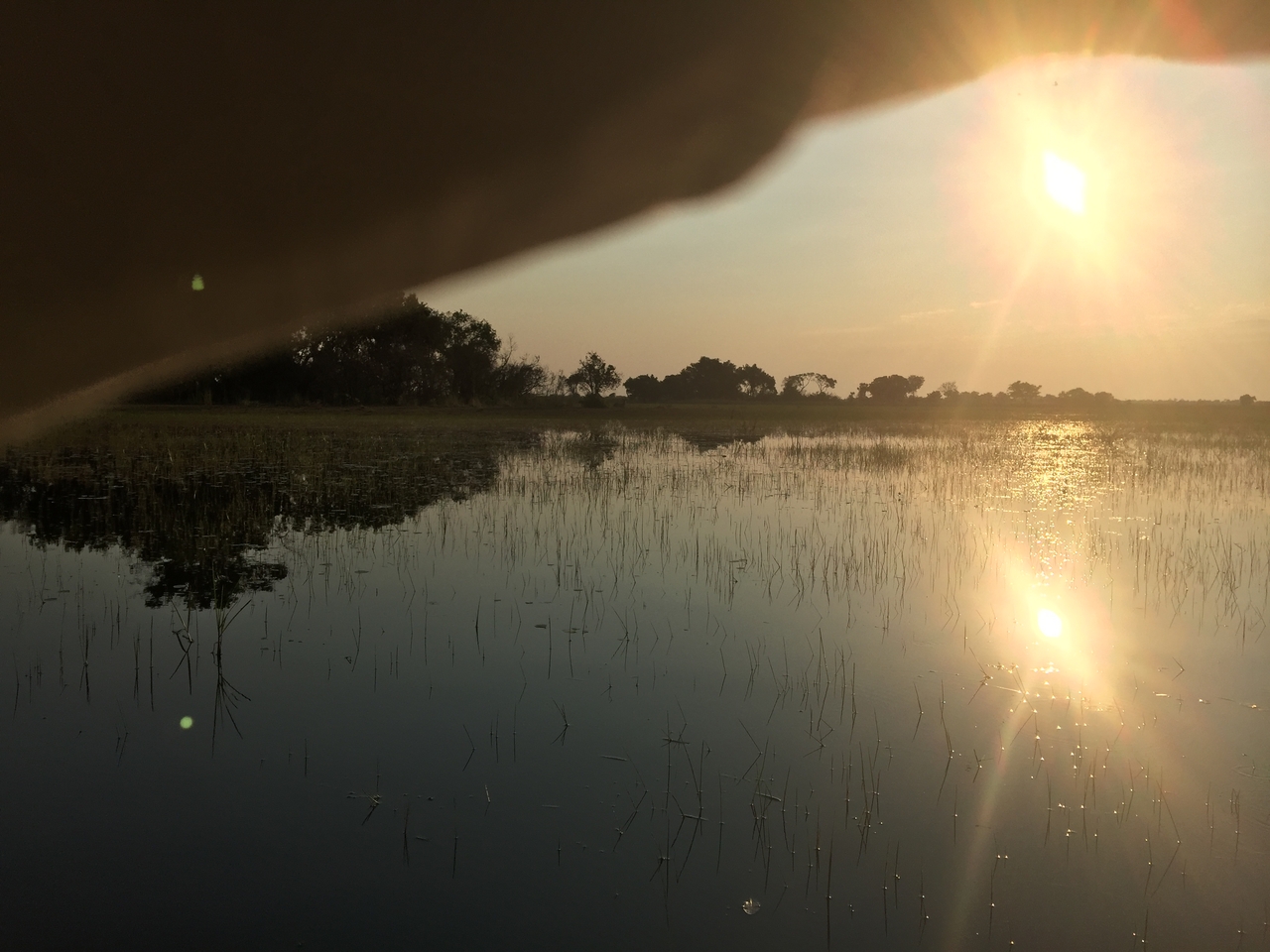 [27372] 2016_07_01_17_07_34_Africa_iPhone_6_Plus_IMG_4581_00573.jpg