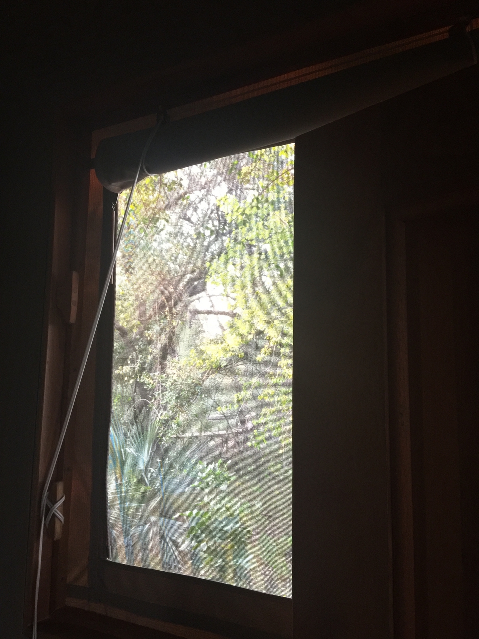 [27843] 2016_07_02_07_40_46_Africa_iPhone_6_Plus_IMG_4625_07189.jpg