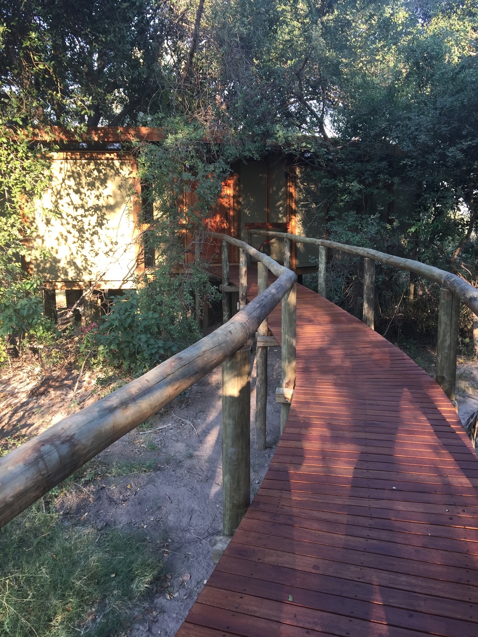 [27886] 2016_07_02_08_24_05_Africa_iPhone_6_Plus_IMG_4631_00607.jpg