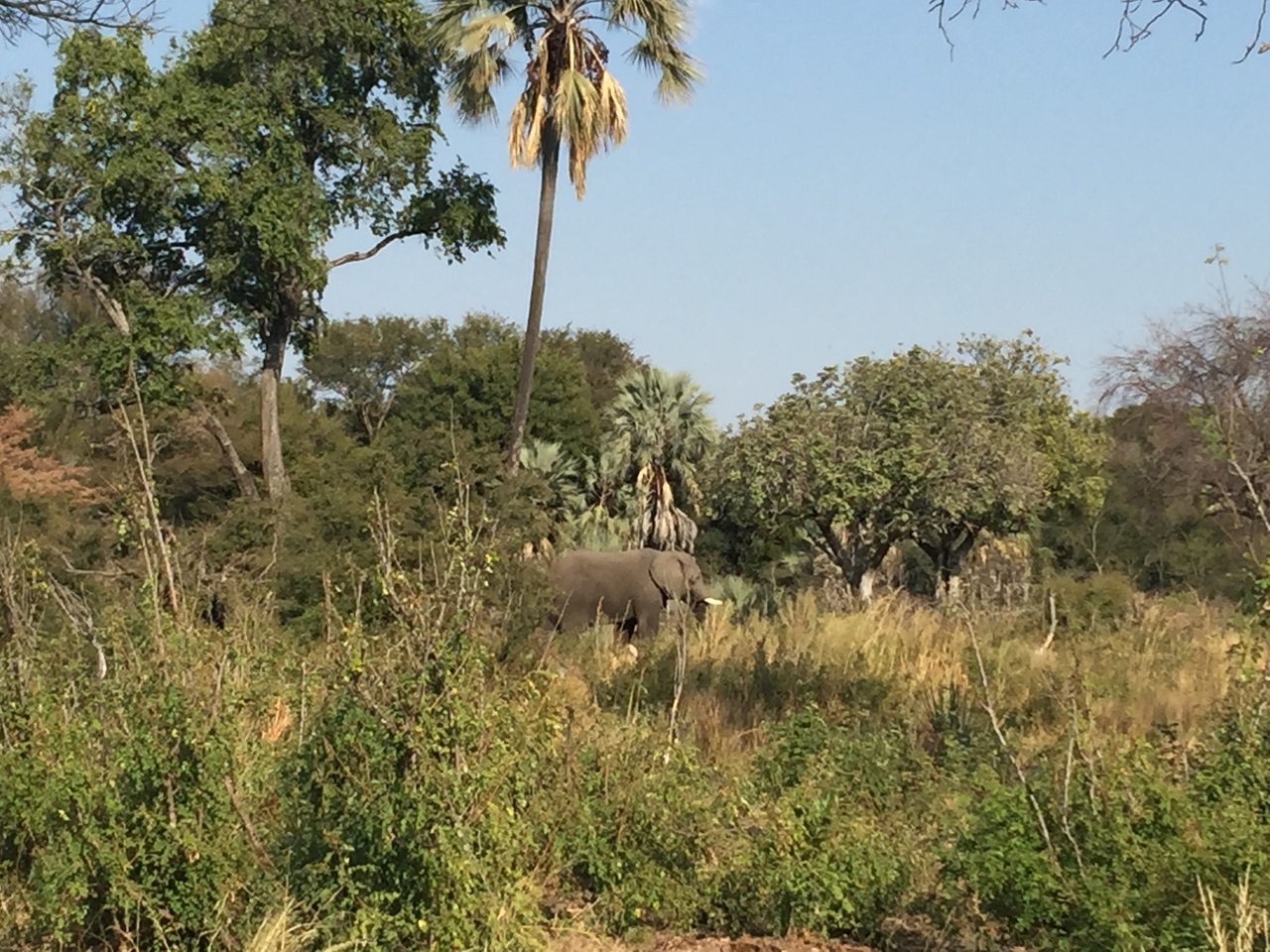 [28044] 2016_07_02_09_17_55_Africa_iPhone_6_Plus_IMG_4653_00126.jpg