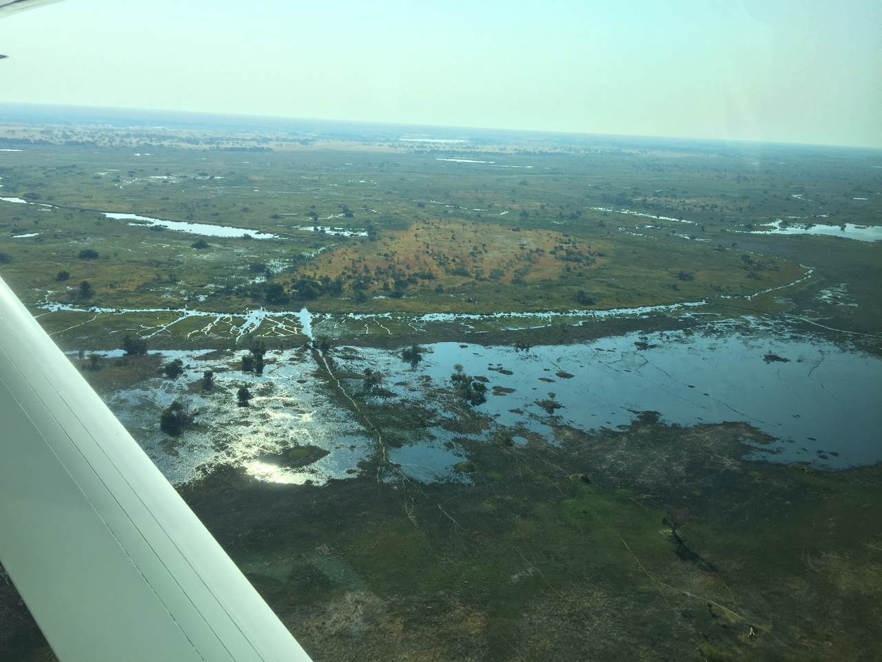 [28083] 2016_07_02_09_26_05_Africa_iPhone_6_Plus_IMG_4663_00135.jpg