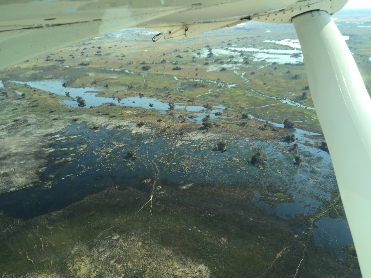 [28087] 2016_07_02_09_26_10_Africa_iPhone_6_Plus_IMG_4664_00624.jpg