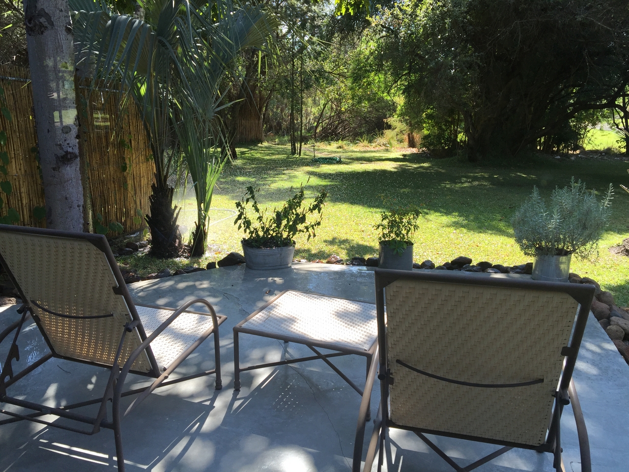 [28687] 2016_07_02_13_09_23_Africa_iPhone_6_Plus_IMG_4760_00644.jpg