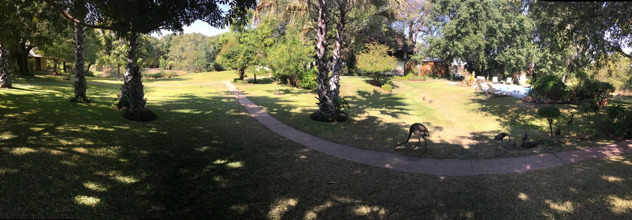 [28691] 2016_07_02_13_13_26_Africa_iPhone_6_Plus_IMG_4761_07229.jpg