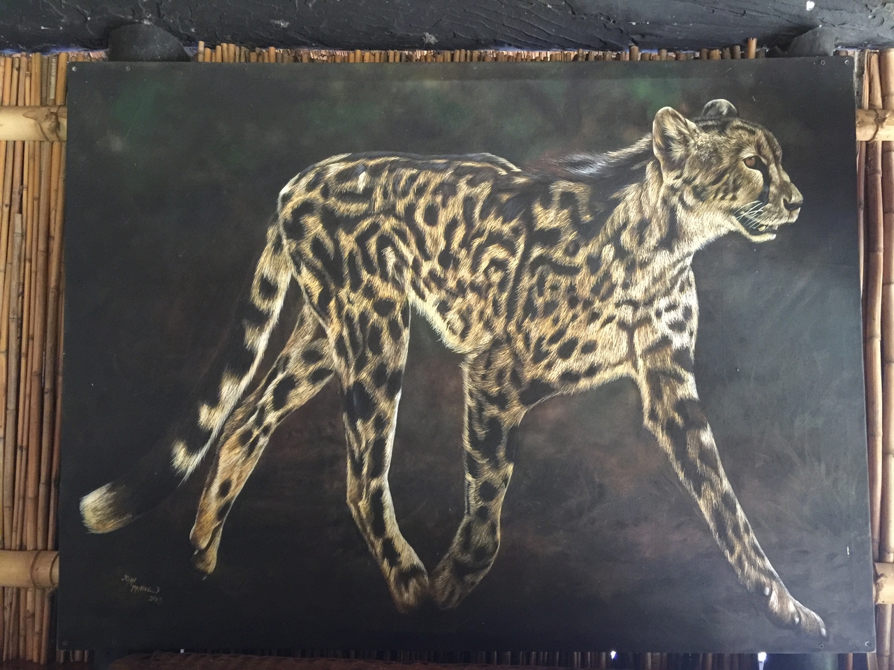 [28748] 2016_07_02_14_45_31_Africa_iPhone_6_Plus_IMG_4776_07244.jpg