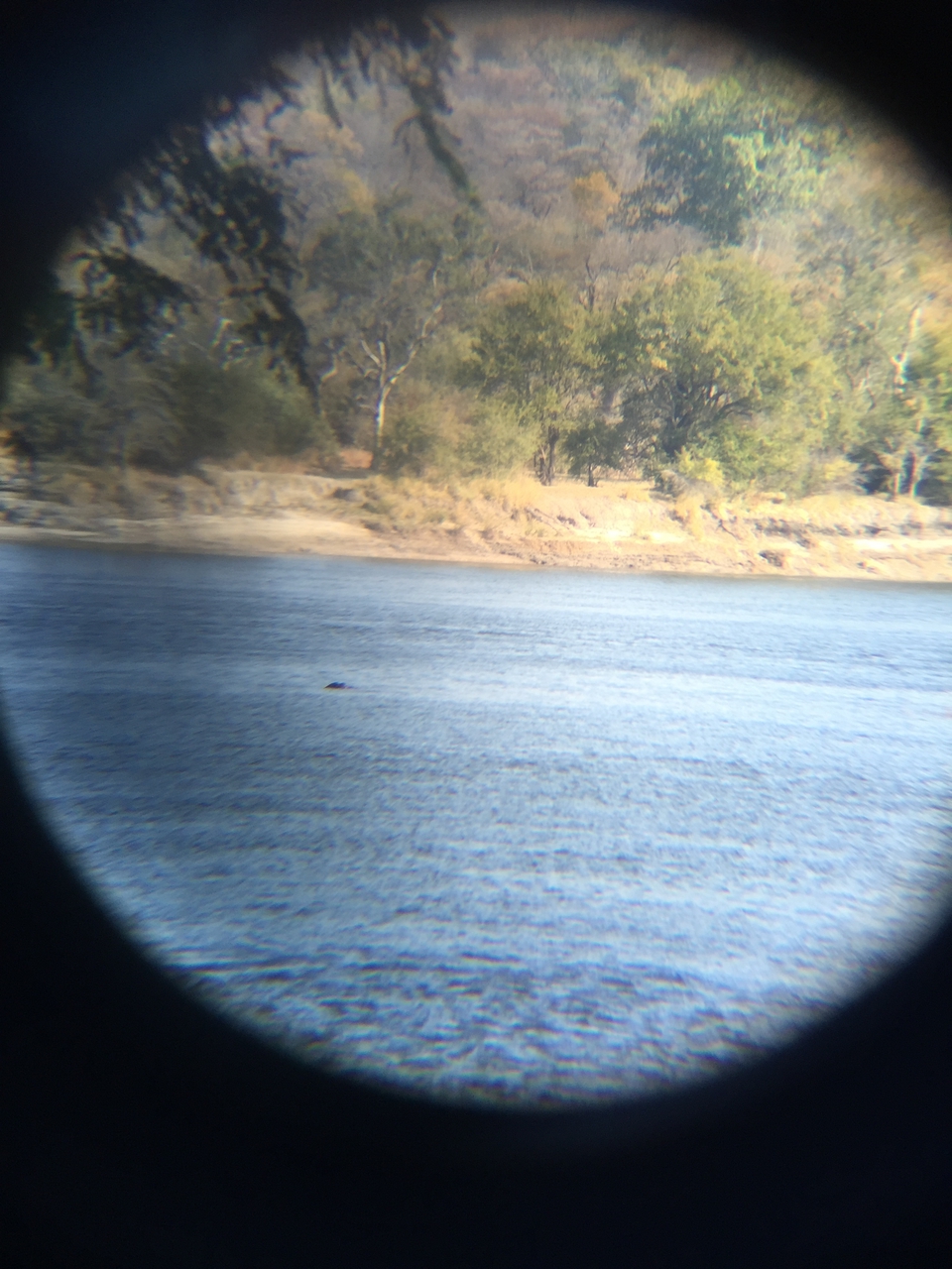 [28771] 2016_07_02_15_28_18_Africa_iPhone_6_Plus_IMG_4788_00668.jpg