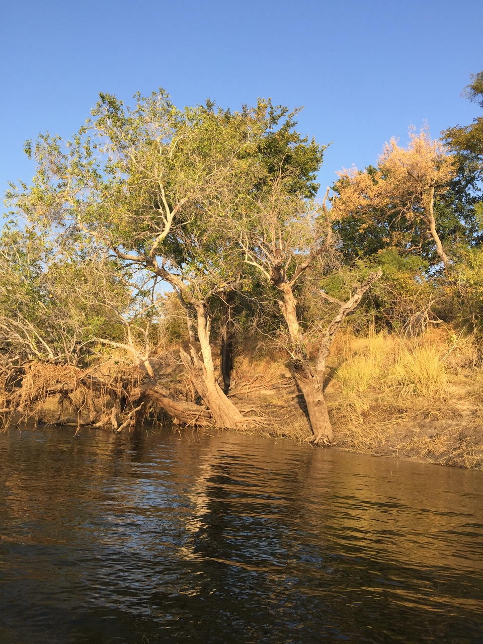 [28823] 2016_07_02_17_00_13_Africa_iPhone_6_Plus_IMG_4812_07269.jpg