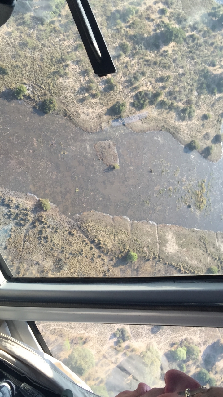 [31640] 2016_07_03_08_49_30_Africa_iPhone_6_Plus_IMG_4868_07314.jpg