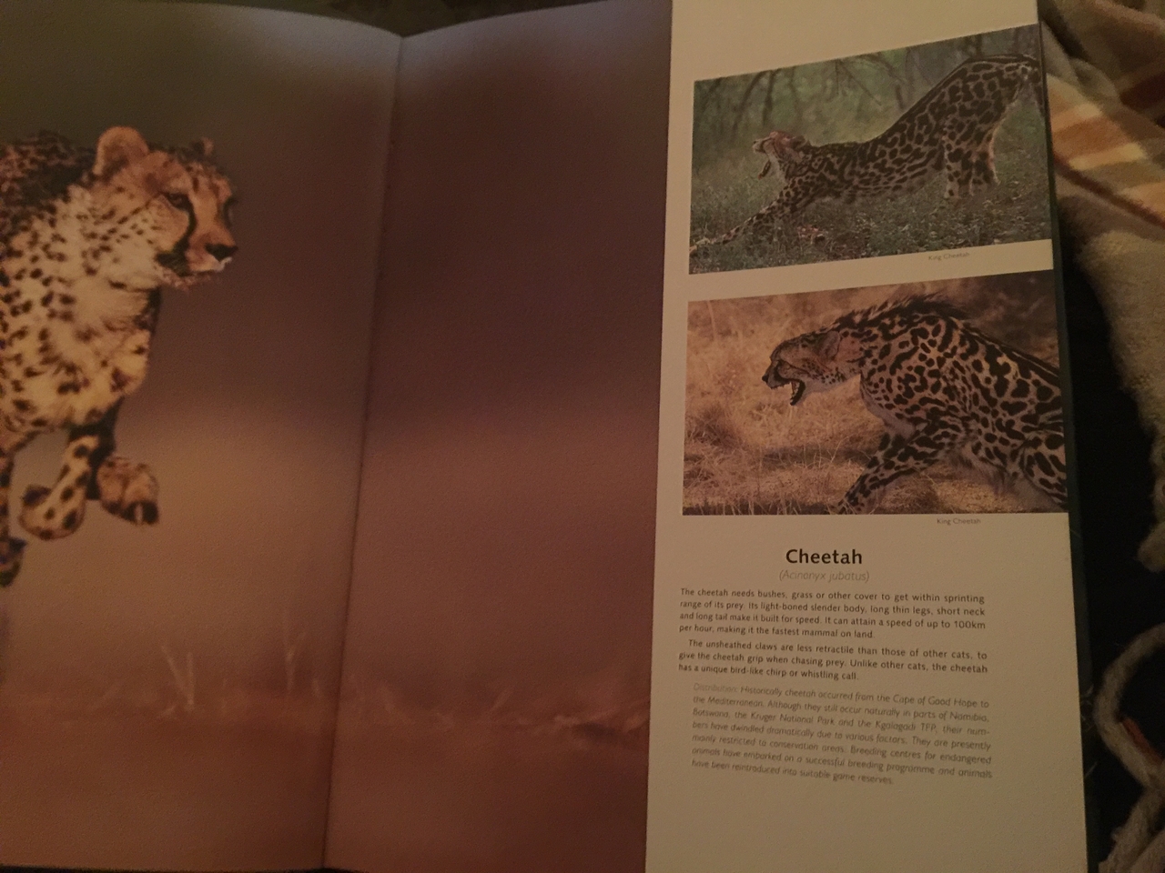 [32788] 2016_07_03_20_49_52_Africa_iPhone_6_Plus_IMG_4989_00823.jpg