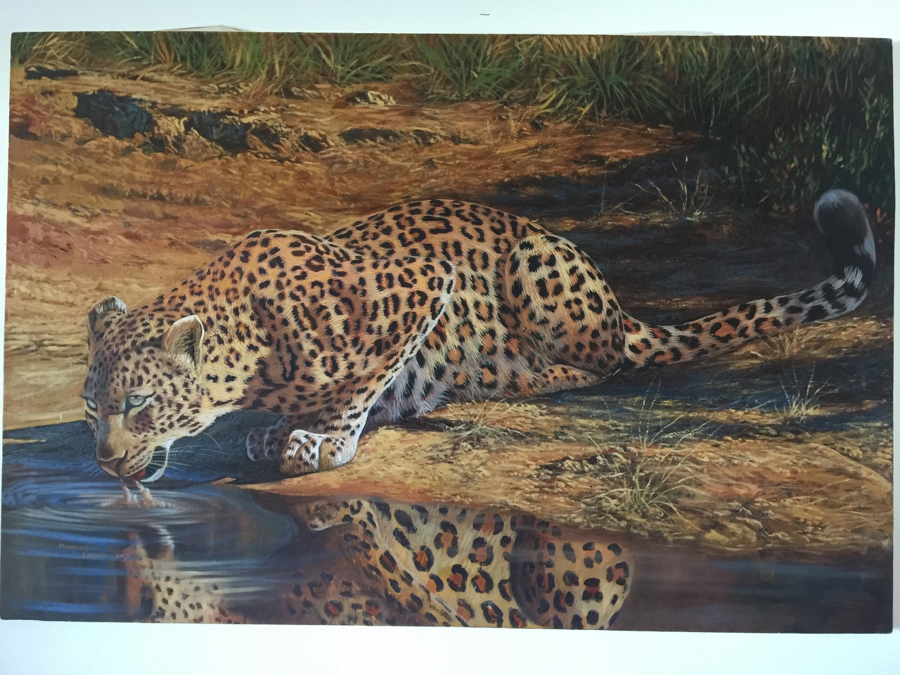 [34233] 2016_07_04_12_20_38_Africa_iPhone_6_Plus_IMG_4997_00342.jpg