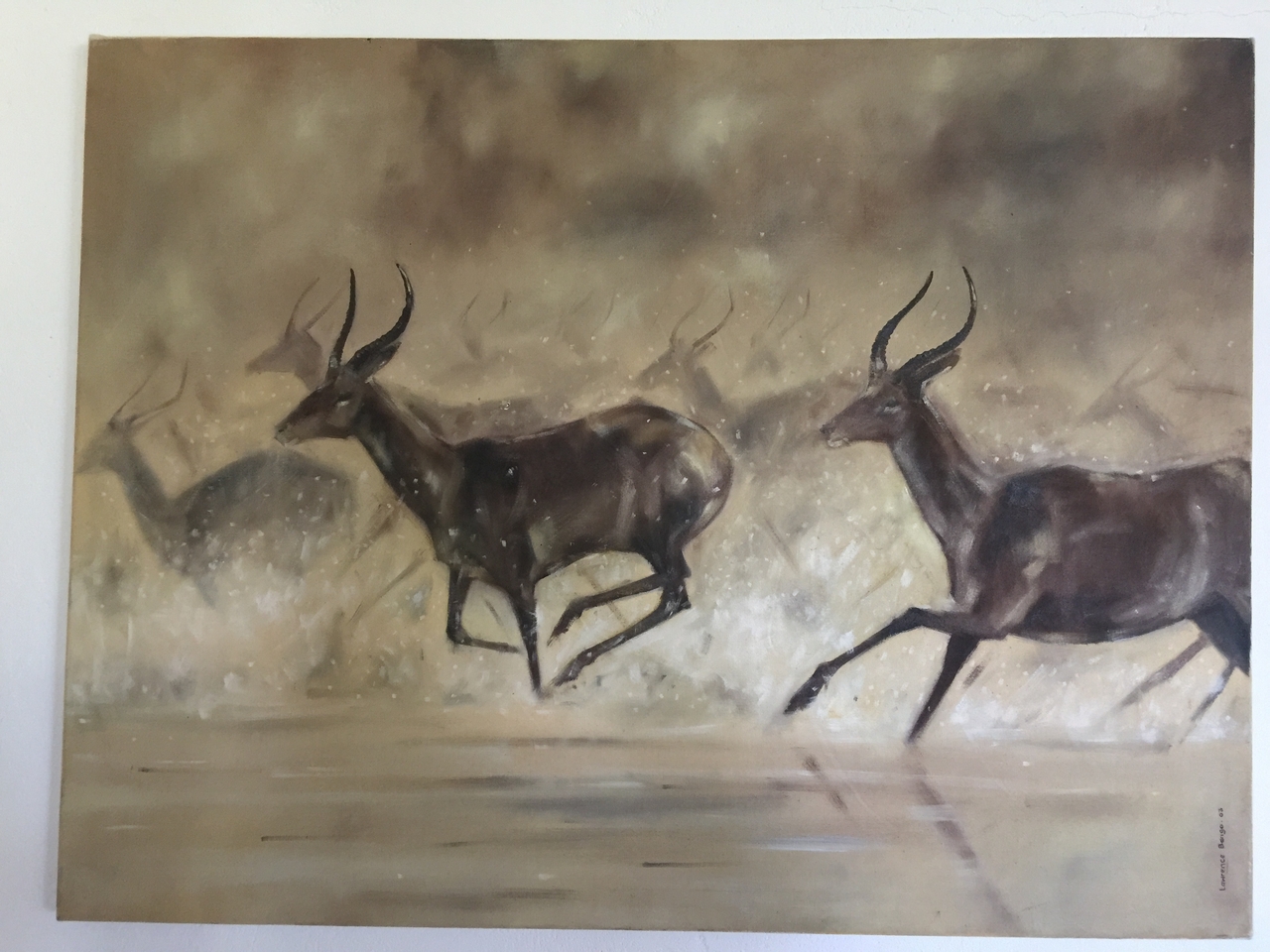 [34245] 2016_07_04_12_21_54_Africa_iPhone_6_Plus_IMG_5002_00002.jpg