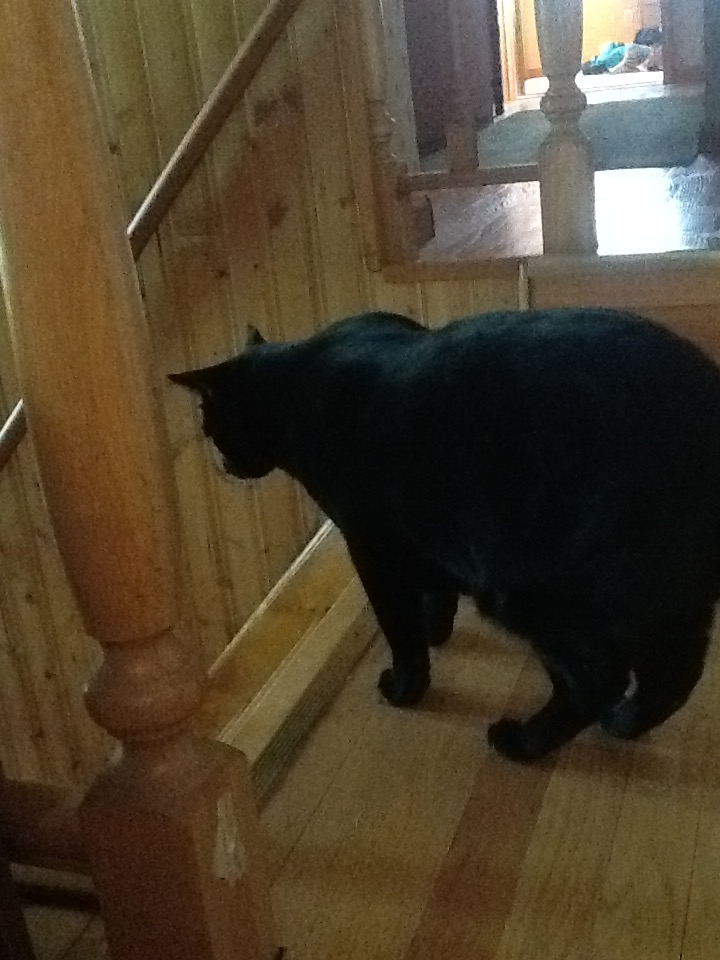 [16432] 2016_06_26_09_27_26_Africa_iPad_2_IMG_3722_06913.jpg