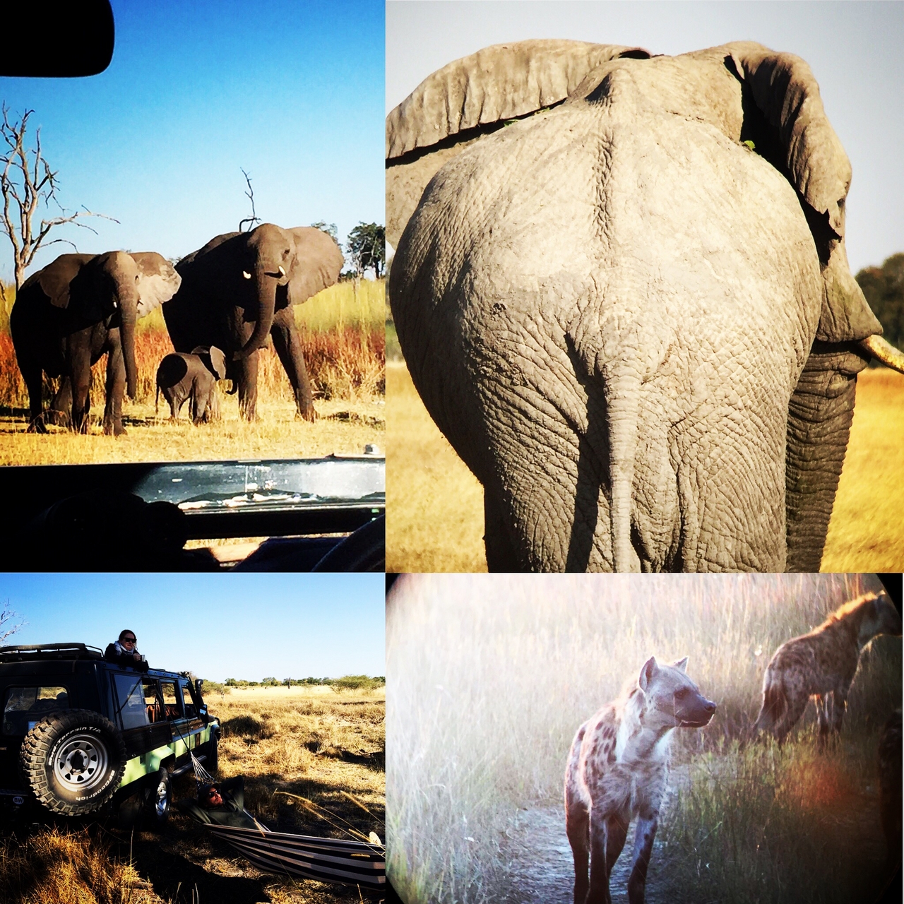 [34610] 2016_08_07_18_36_59-04_00_Africa_Other_Cameras_IMG_8966_00854.jpg