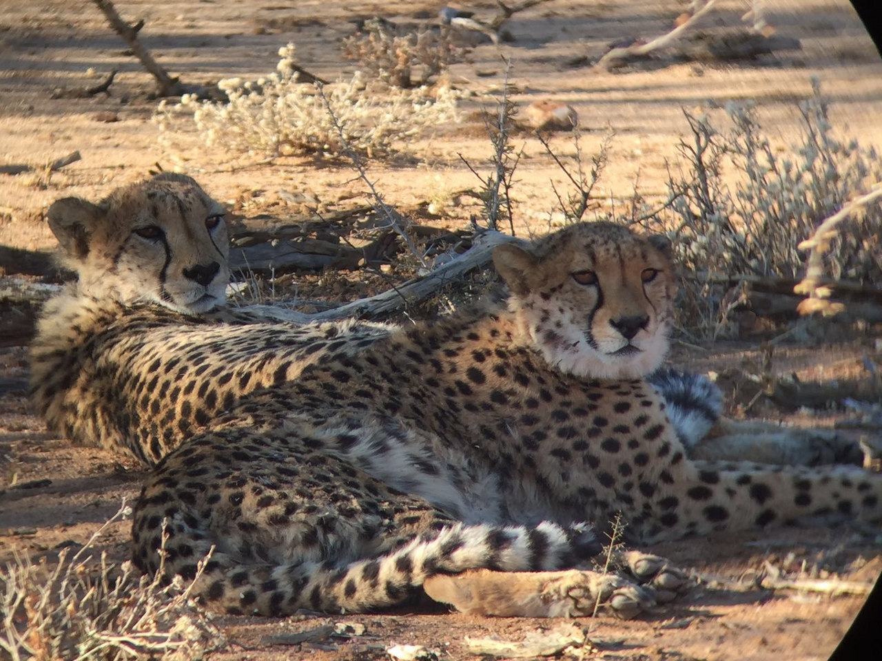 [34679] 2016_08_07_19_00_21-04_00_Africa_Other_Cameras_IMG_3424_06698.jpg