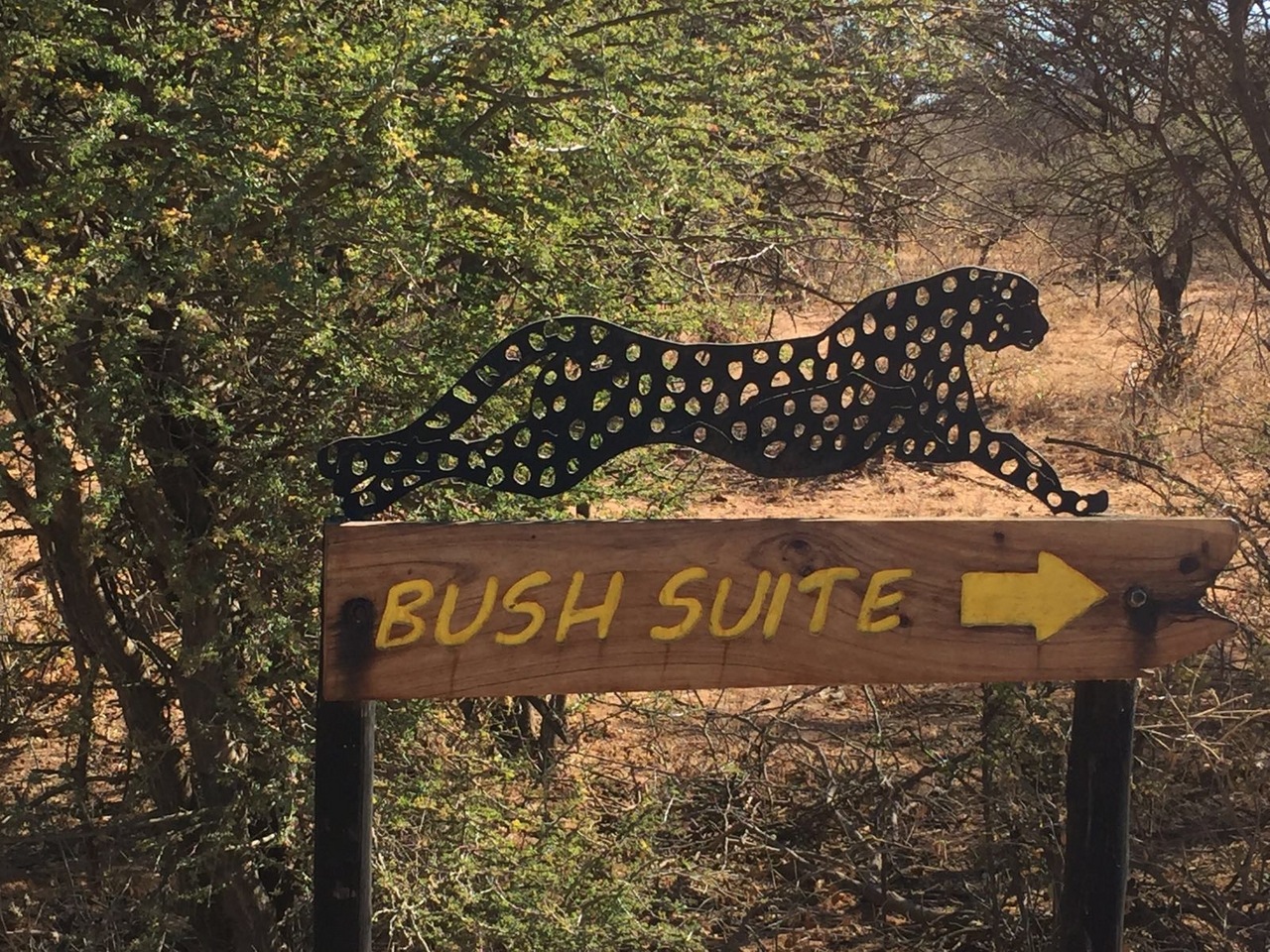 [34693] 2016_08_07_19_04_39-04_00_Africa_Other_Cameras_IMG_3417_06691.jpg