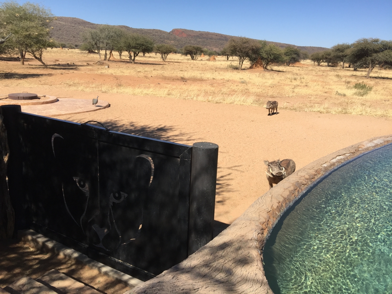 [34696] 2016_08_07_19_05_41-04_00_Africa_Other_Cameras_IMG_3418_00108.jpg