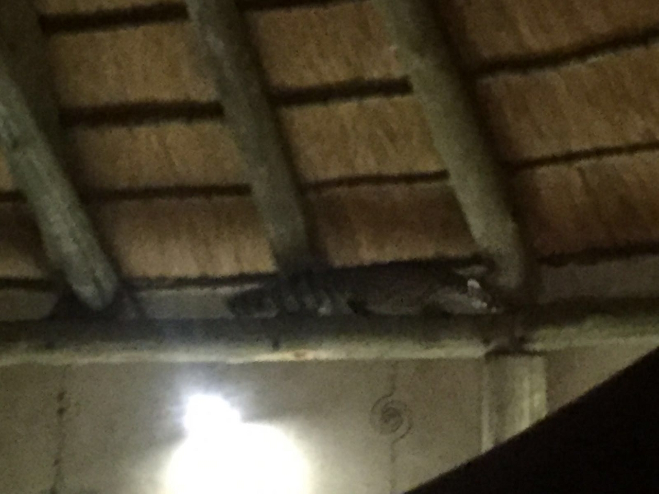 [34711] 2016_08_07_19_10_33-04_00_Africa_Other_Cameras_IMG_3566_06791.jpg