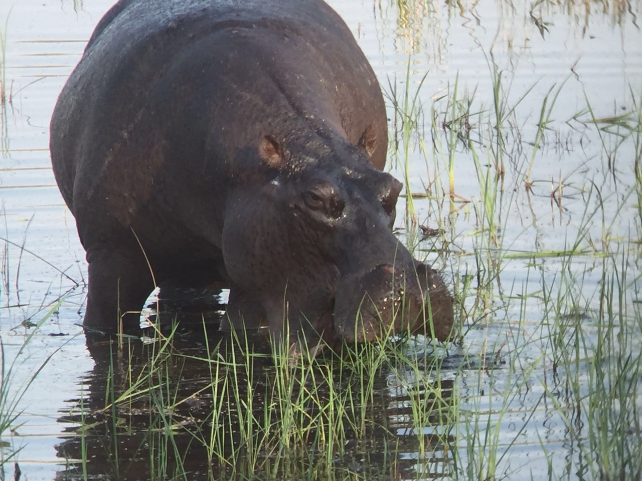 [34738] 2016_08_07_19_18_19-04_00_Africa_Other_Cameras_IMG_4964_00801.jpg
