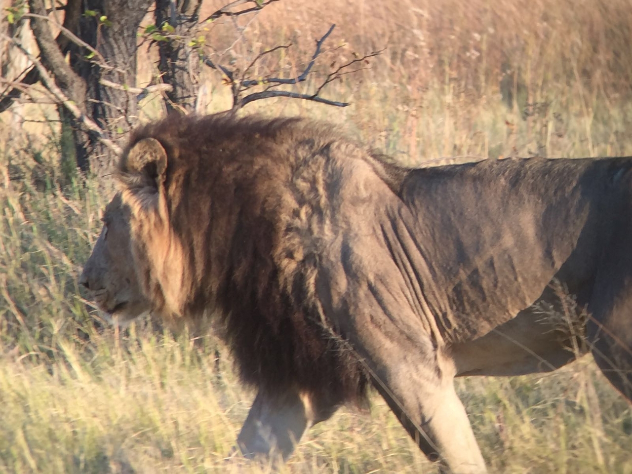 [34743] 2016_08_07_19_19_54-04_00_Africa_Other_Cameras_IMG_4960_00309.jpg