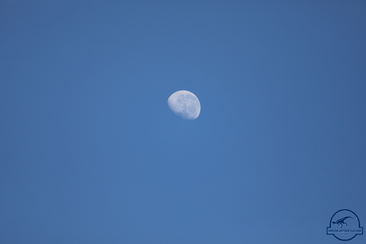 [1] 2019_06_22_12_59_07_Africa_Canon_EOS_5D_Mark_IV_IMG_0002524_00001.jpg