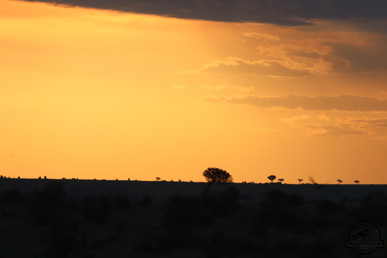 [6] 2019_07_02_17_21_14_Africa_Canon_EOS_77D_IMG_3223_00007.jpg