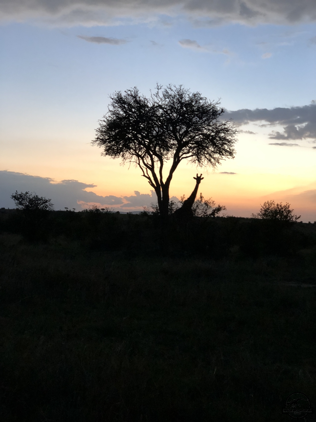 [8] 2019_07_03_19_02_16_Africa_iPhone_X_IMG_4594_00003.jpg