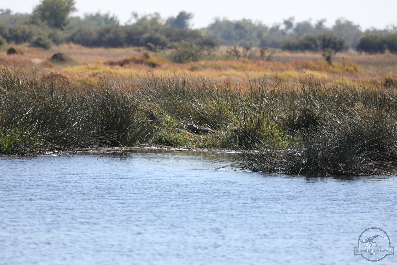 [32] 2019_06_20_15_58_22_Africa_Canon_EOS_5D_Mark_IV_IMG_0001235_00018.jpg