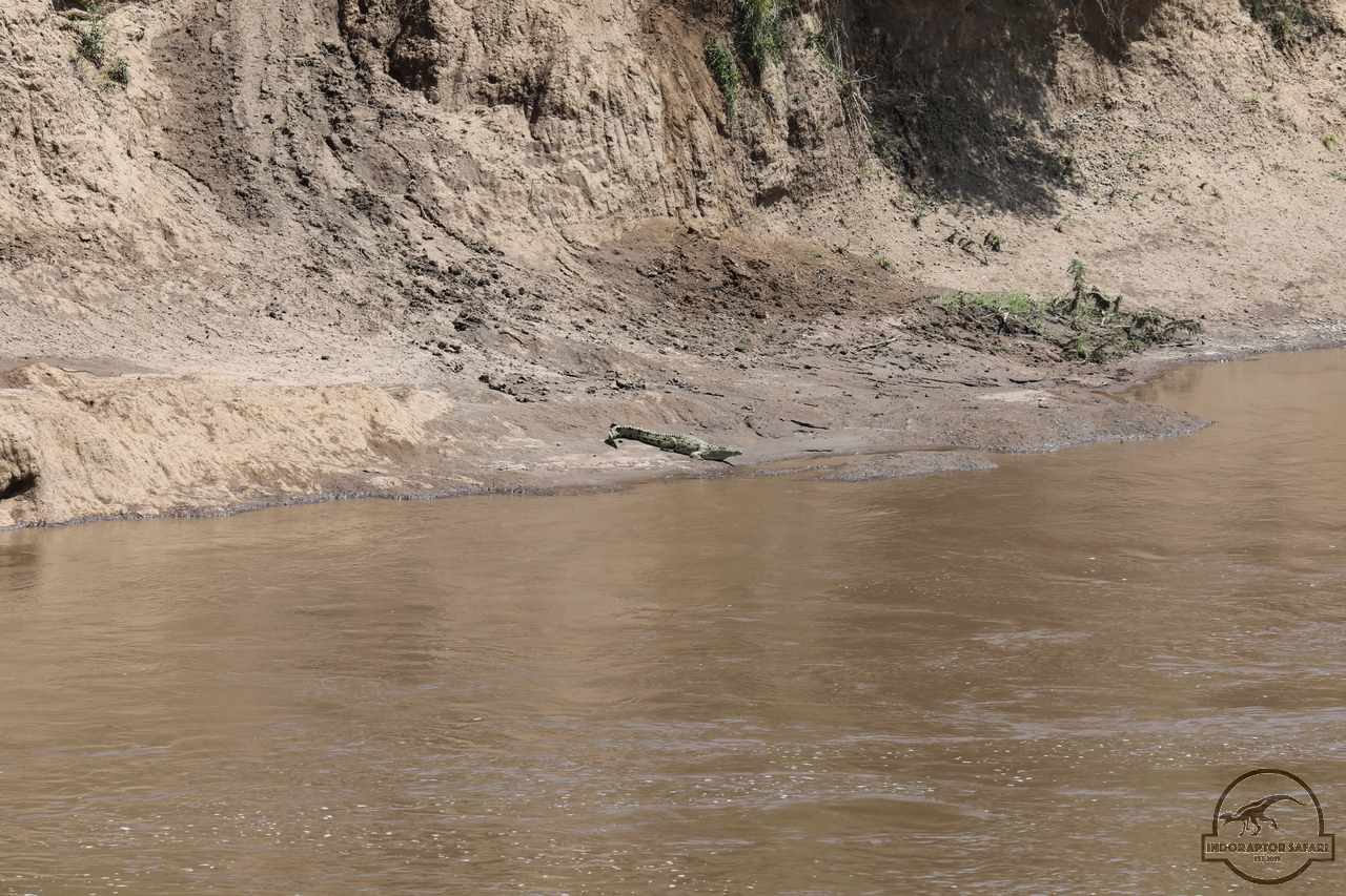 [41] 2019_07_01_16_21_56_Africa_Canon_EOS_5D_Mark_IV_IMG_0011347_00021.jpg