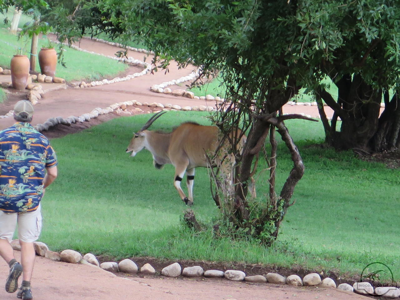 [48] 2019_06_29_09_49_12_Africa_Canon_PowerShot_G16_IMG_0198_00004.jpg