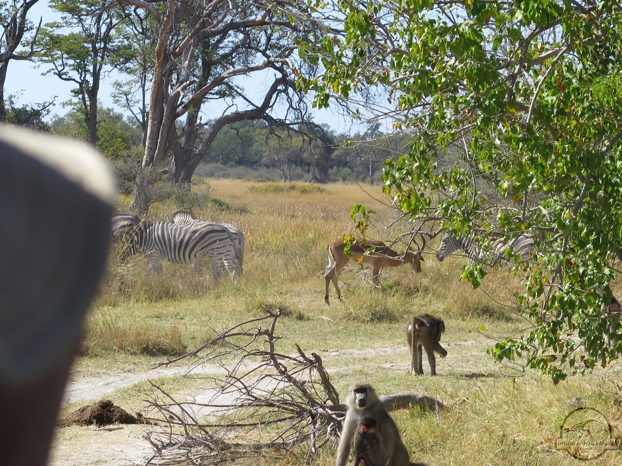 [119] 2019_06_21_05_05_24_Africa_Canon_PowerShot_G16_IMG_0105_00006.jpg