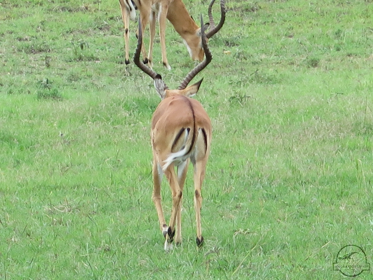 [125] 2019_07_04_02_40_18_Africa_Canon_PowerShot_G16_IMG_0036_00001.jpg
