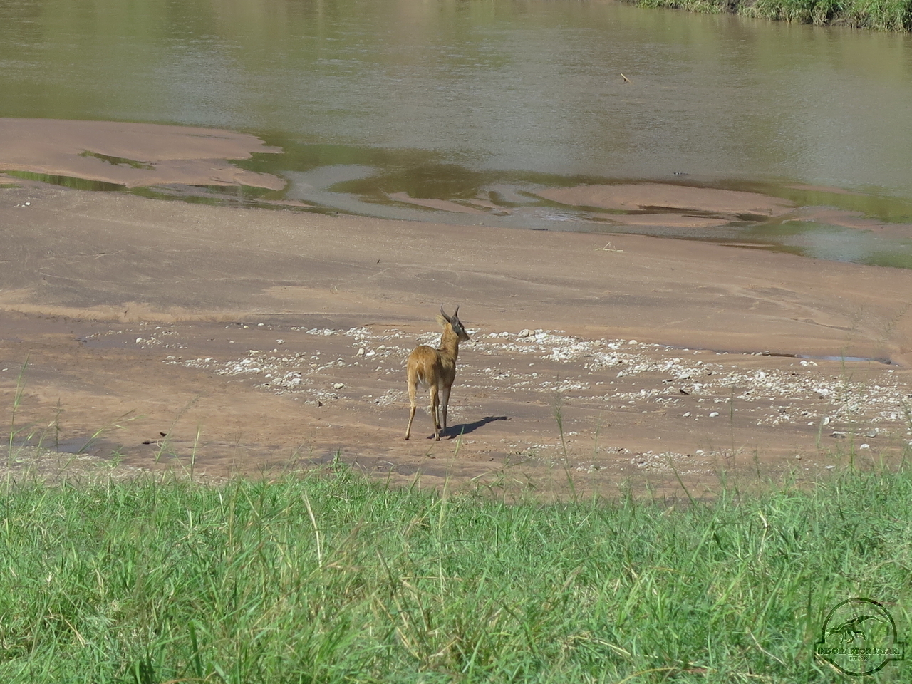 [141] 2019_07_01_04_08_28_Africa_Canon_PowerShot_G16_IMG_0187_00036.jpg