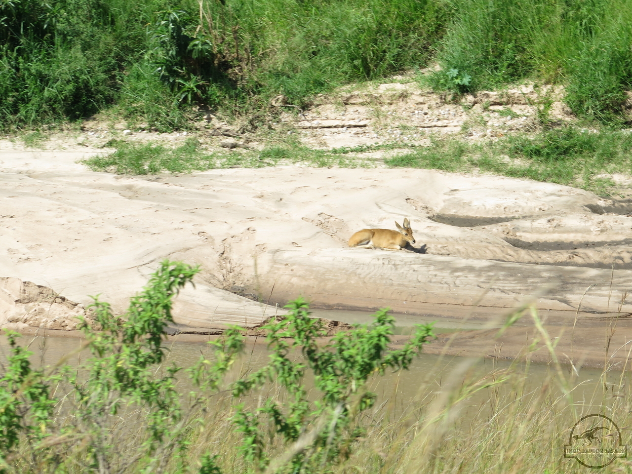 [150] 2019_07_01_04_10_04_Africa_Canon_PowerShot_G16_IMG_0198_00039.jpg