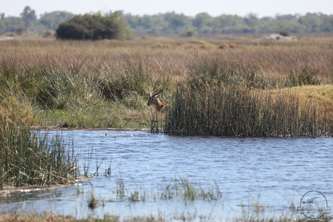 [155] 2019_06_20_15_58_31_Africa_Canon_EOS_5D_Mark_IV_IMG_0001241_00002.jpg