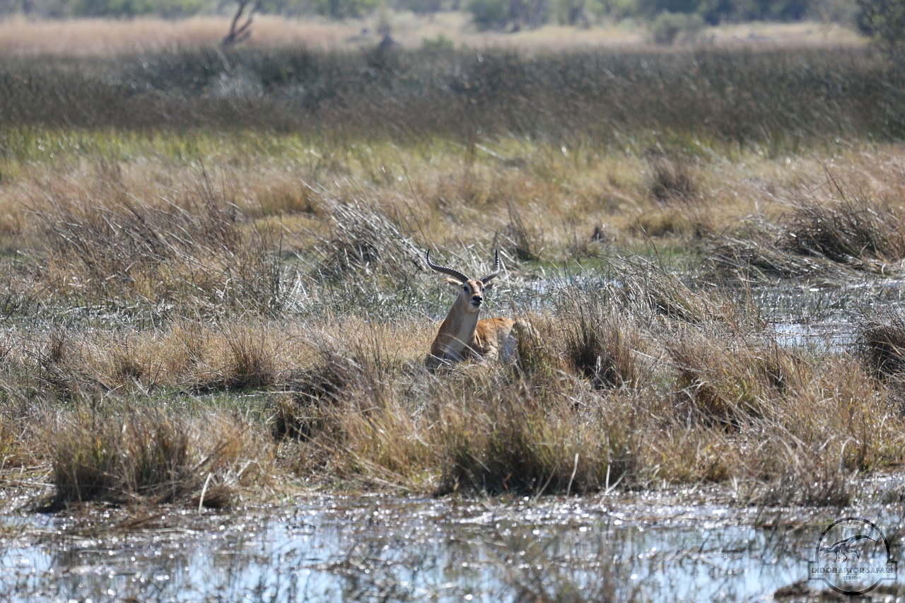 [158] 2019_06_20_16_02_15_Africa_Canon_EOS_5D_Mark_IV_IMG_0001248_00003.jpg