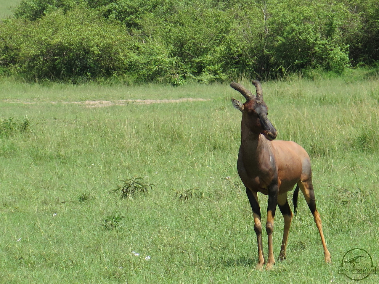 [193] 2019_07_01_05_19_18_Africa_Canon_PowerShot_G16_IMG_0244_00075.jpg