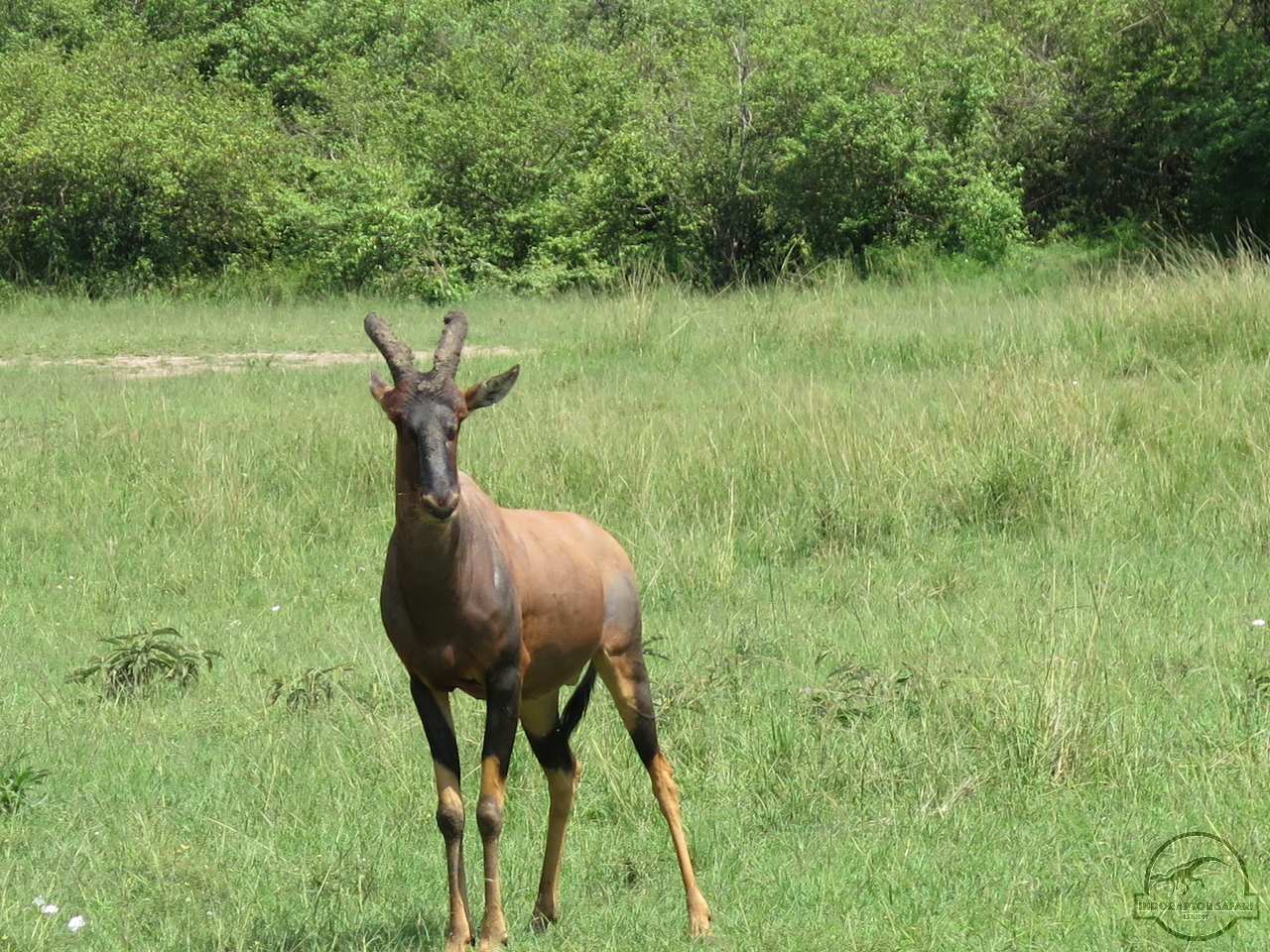 [195] 2019_07_01_05_19_20_Africa_Canon_PowerShot_G16_IMG_0245_00055.jpg