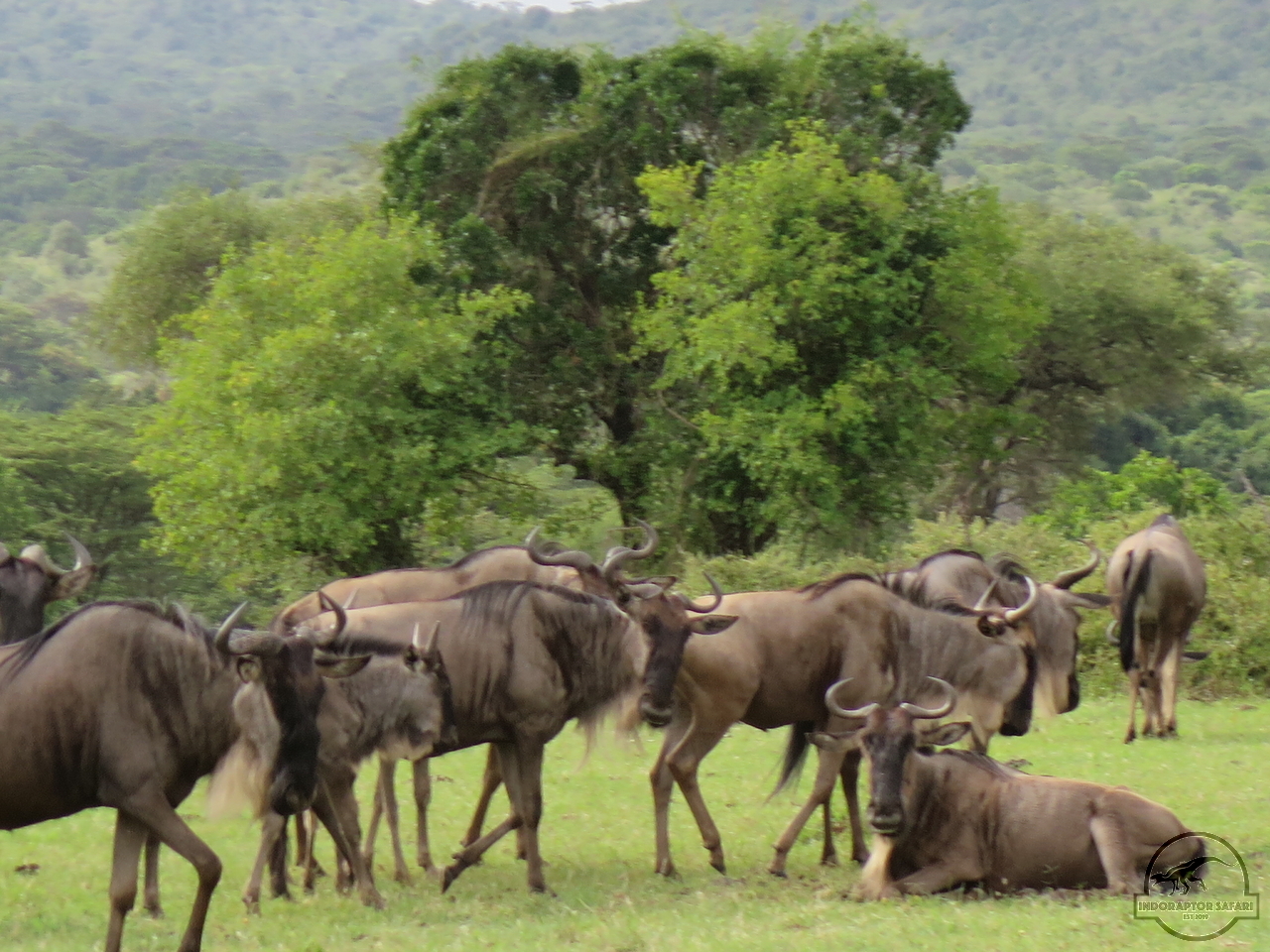 [243] 2019_07_04_02_25_34_Africa_Canon_PowerShot_G16_IMG_0006_00064.jpg