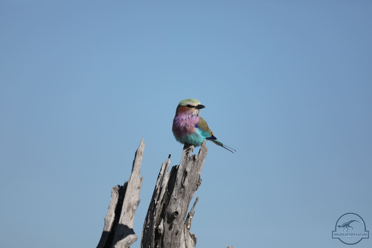 [328] 2019_06_20_14_50_48_Africa_Canon_EOS_5D_Mark_IV_IMG_0001097_00120.jpg