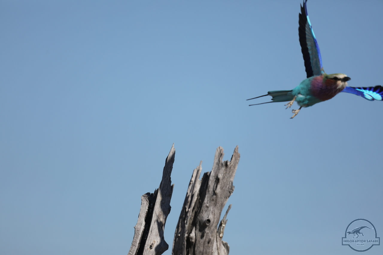 [331] 2019_06_20_14_51_23_Africa_Canon_EOS_5D_Mark_IV_IMG_0001116_00121.jpg