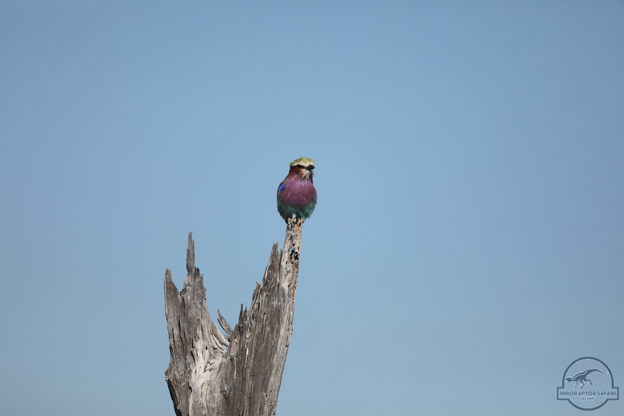 [334] 2019_06_20_14_52_50_Africa_Canon_EOS_5D_Mark_IV_IMG_0001117_00122.jpg